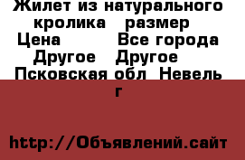 Жилет из натурального кролика,44размер › Цена ­ 500 - Все города Другое » Другое   . Псковская обл.,Невель г.